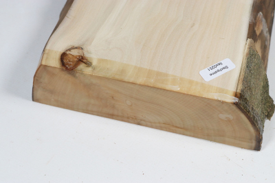 Brettabschnitt Stechpalme 250x180x53mm - Ilex0251