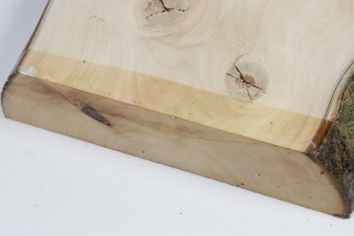 Brettabschnitt Stechpalme 250x180x53mm - Ilex0251