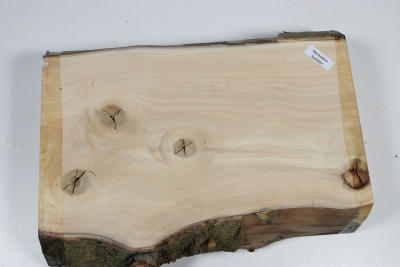 Brettabschnitt Stechpalme 250x180x53mm - Ilex0251