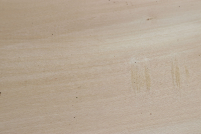 Brettabschnitt Stechpalme 260x125x25mm - Ilex0266