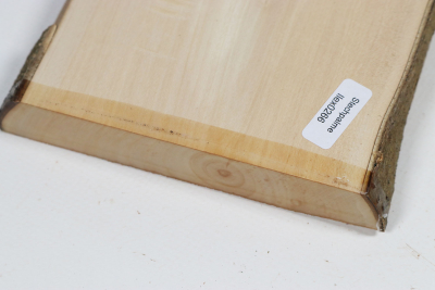 Brettabschnitt Stechpalme 260x125x25mm - Ilex0266