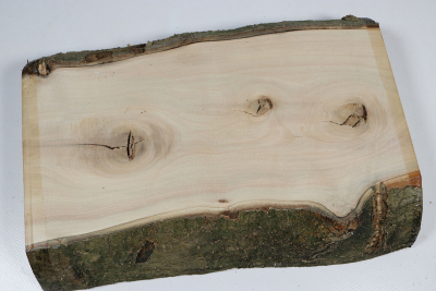 Brettabschnitt Stechpalme 260x180x43mm - Ilex0252