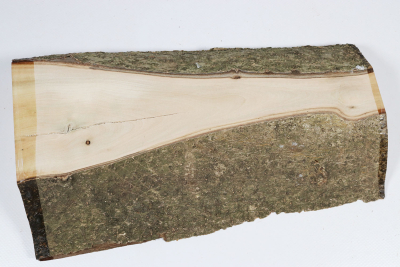 Brettabschnitt Stechpalme 275x150x50mm - Ilex0256