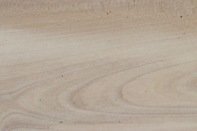 Brettabschnitt Stechpalme 275x150x50mm - Ilex0256