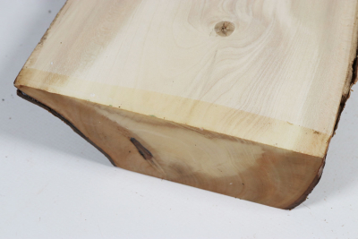 Brettabschnitt Stechpalme 275x150x50mm - Ilex0256