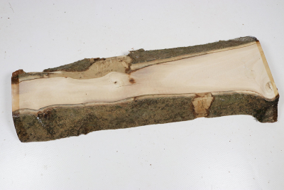 Brettabschnitt Stechpalme 350x110x30mm - Ilex0269