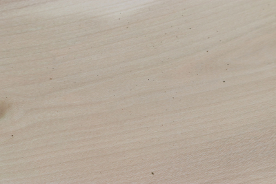 Brettabschnitt Stechpalme 350x110x30mm - Ilex0269