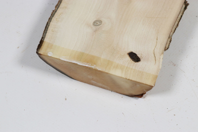 Brettabschnitt Stechpalme 350x110x30mm - Ilex0269