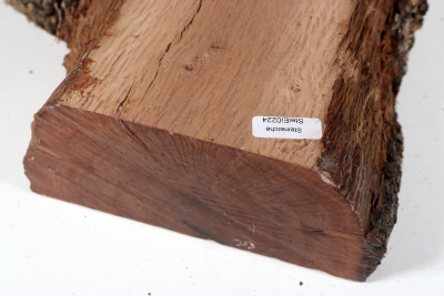 Board Holm Oak 270x170x70mm - SteiEi0224