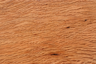 Brettabschnitt Steineiche 280x195x40mm - SteiEi0397