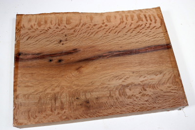 Brettabschnitt Steineiche 310x230x40mm - SteiEi0401