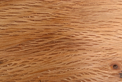 Brettabschnitt Steineiche 310x230x40mm - SteiEi0401