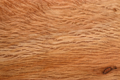 Brettabschnitt Steineiche 310x250x40mm - SteiEi0400