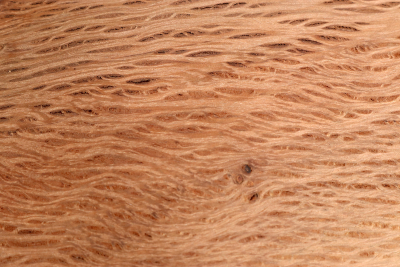 Brettabschnitt Steineiche 310x95x40mm - SteiEi0406