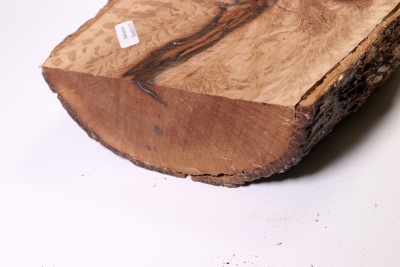 Board Holm Oak 320x160x60mm - SteiEi0137