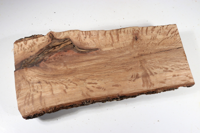 Holm Oak 340x145x50mm - SteiEi0227