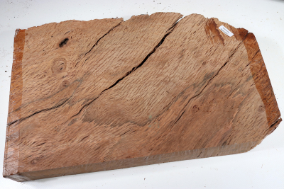 Holm Oak 370x210x55mm - SteiEi0357