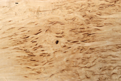 Board Karelian Masurbirch  315x110x37mm - KarMB2712