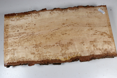 Brettabschnitt karelische Maserbirke 355x170x47mm - KarMB2972 Brettabschnitt karelische Maserbirke 355x170x47mm - KarMB2972
