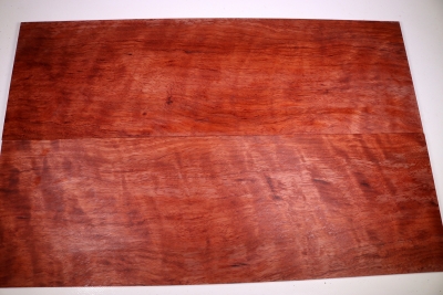 Bubinga E-Gitarren Aufleimer / Top 560x180x8mm - Bubi0220