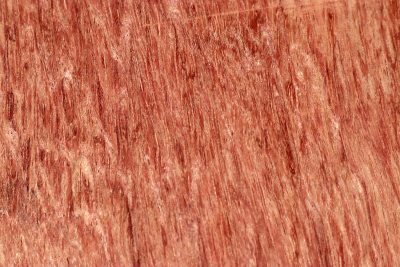 Drechselklotz Bubinga 200x200x80mm - Bubi0330