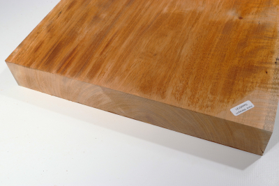 Gitarrenbody Honduras Mahagoni / Swietenia curly 590x330x50mm - Swiet0121