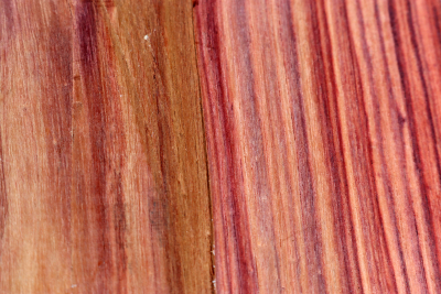 Halbstamm Bahia Rosenholz 105x135x50mm - BahR1455