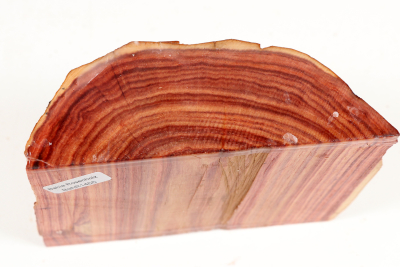 Halbstamm Bahia Rosenholz 105x135x50mm - BahR1455
