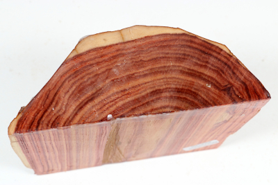 Halbstamm Bahia Rosenholz 105x135x50mm - BahR1455