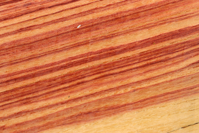 Halbstamm Bahia Rosenholz 185x180x85mm - BahR1144