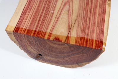 Halbstamm Bahia Rosenholz 185x180x85mm - BahR1144