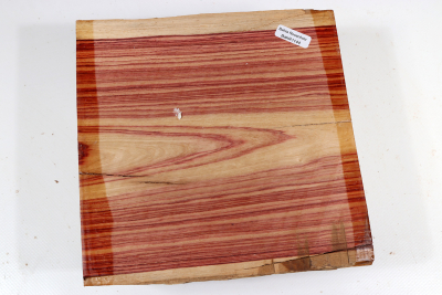Halbstamm Bahia Rosenholz 185x180x85mm - BahR1144