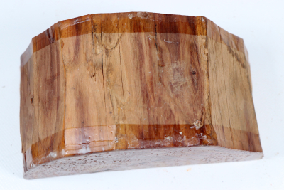 Halbstamm Bahia Rosenholz 85x175x95mm - BahR1453