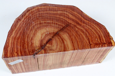 Halbstamm Bahia Rosenholz 85x175x95mm - BahR1453
