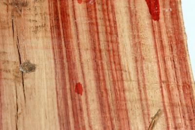 Half Log Brazilian Tulipwood 95x135x70mm - BahR1459