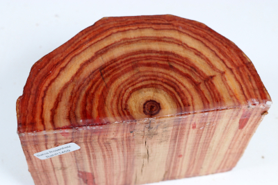 Half Log Brazilian Tulipwood 95x135x70mm - BahR1459