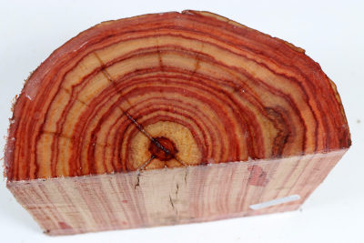 Half Log Brazilian Tulipwood 95x135x70mm - BahR1459