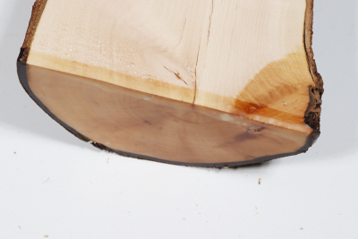 Halflog Dogwood 330x100x55mm - HartR0034