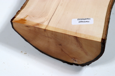 Halflog Dogwood 335x105x50mm - HartR0032