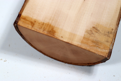 Halflog Dogwood 335x105x50mm - HartR0032