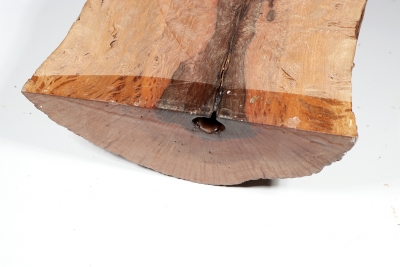 Half Log Holm Oak 280x140x70mm - SteiEi0244