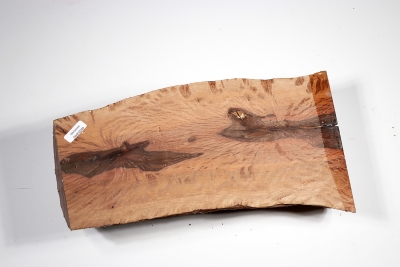 Half Log Holm Oak 280x140x70mm - SteiEi0244