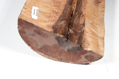 Half Log Holm Oak 310x130x70mm - SteiEi0246