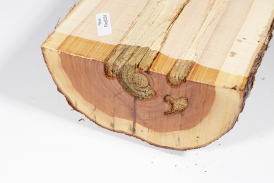 Half Log Lilacwood 390x140x85mm - Flied0054