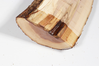 Half Log Lilacwood 450x85x40mm - Flied0056