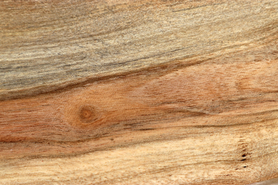 Carob Tree 200x80x40mm - JoBro0122