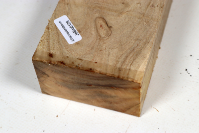 Johannisbrotbaum 205x70x42mm - JoBro0126