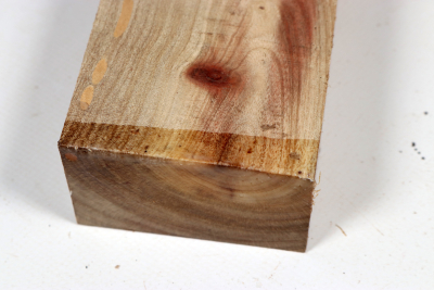 Johannisbrotbaum 205x70x42mm - JoBro0126