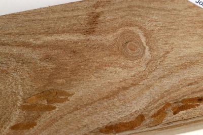 Johannisbrotbaum 215x60x38mm - JoBro0123