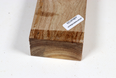 Johannisbrotbaum 215x60x38mm - JoBro0123